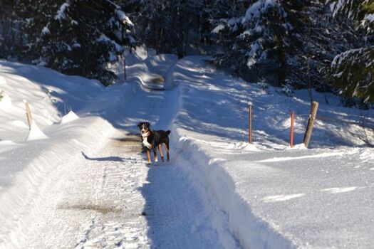 Gepflegt Winterwanderwege