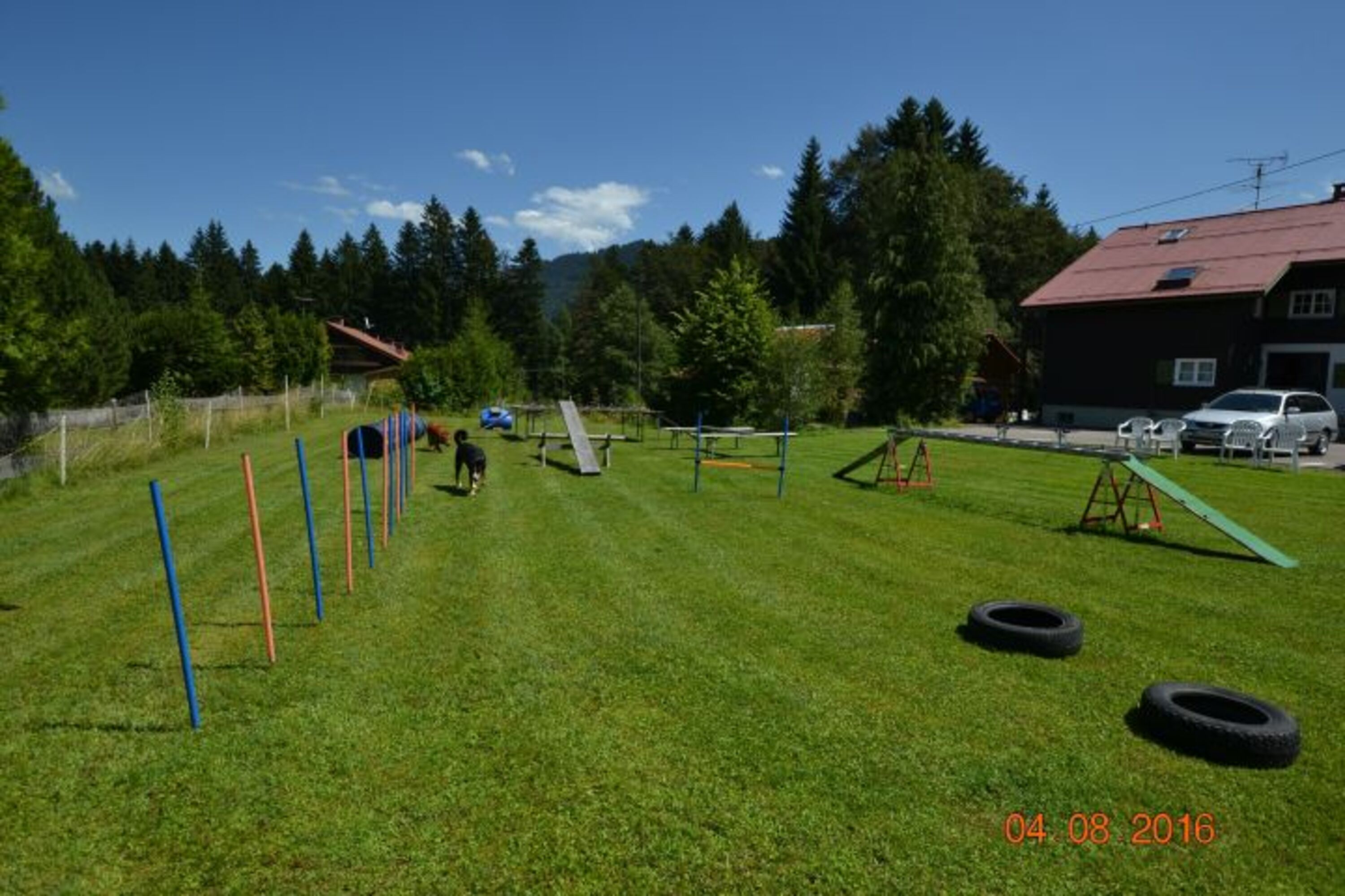 Hunde-Spielplatz