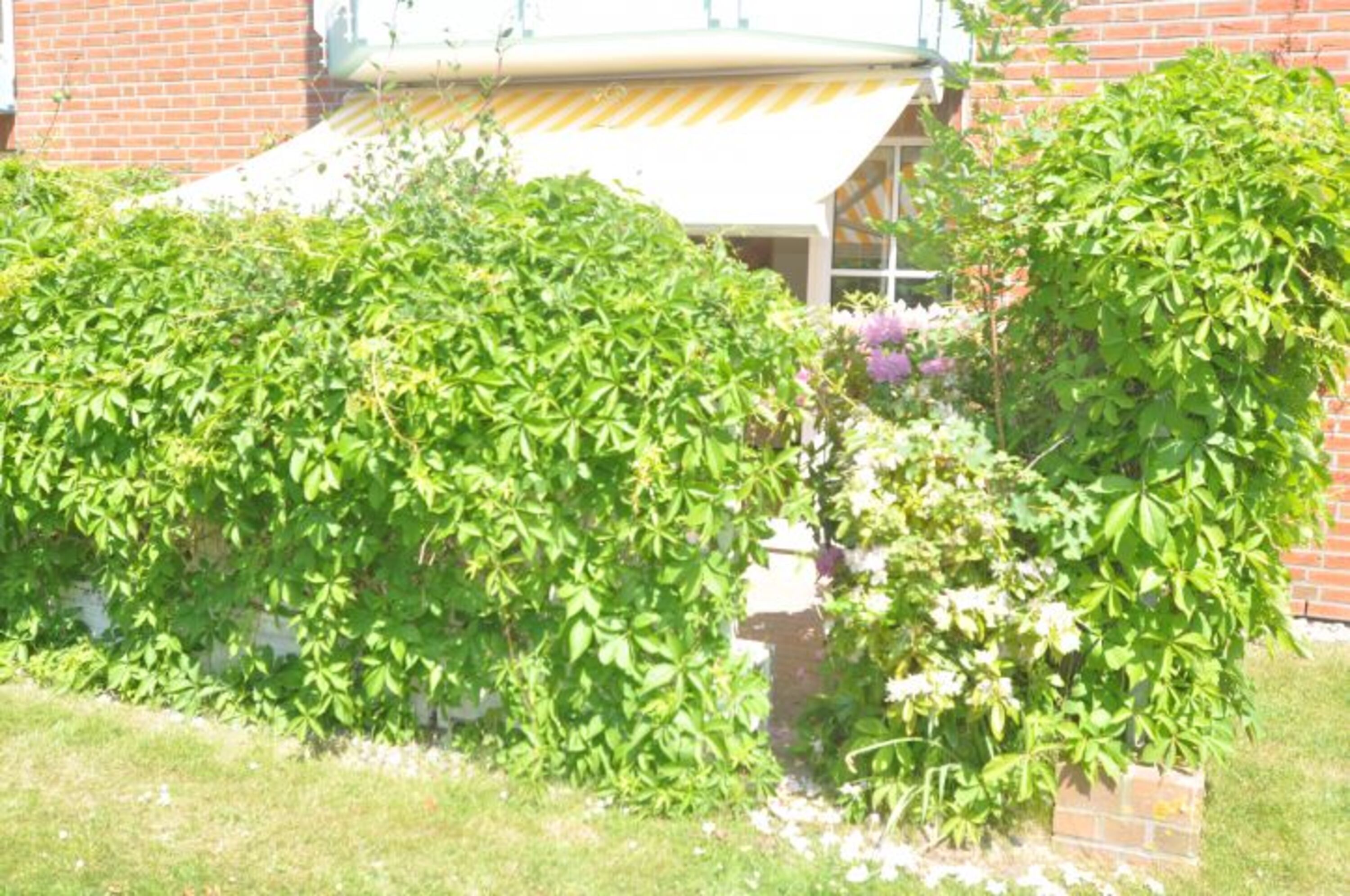 Bild 14