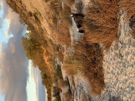 Herbst- und Frühjahr am Südstrand von Göhren