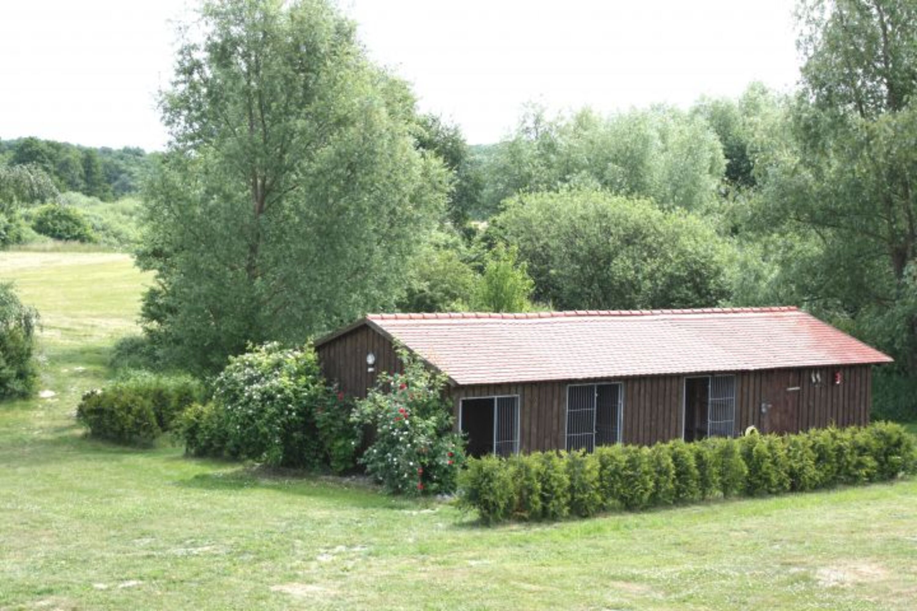 Hundezwingeranlage