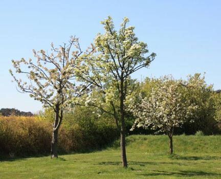 Blick von der Terrasse