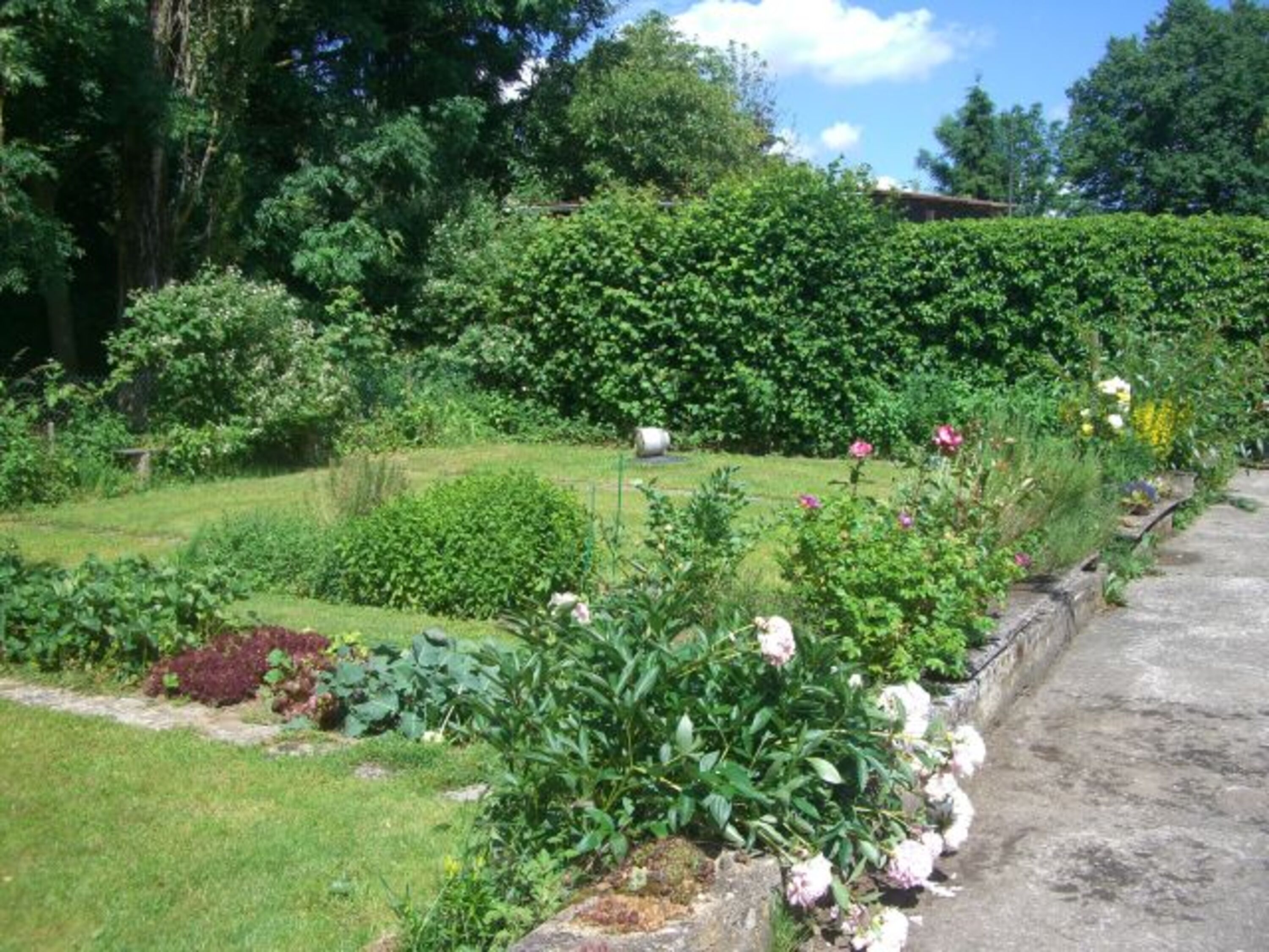 Garten 