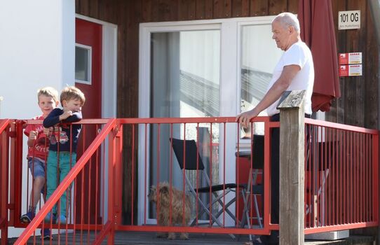 Hier freut sich Kind und Hund