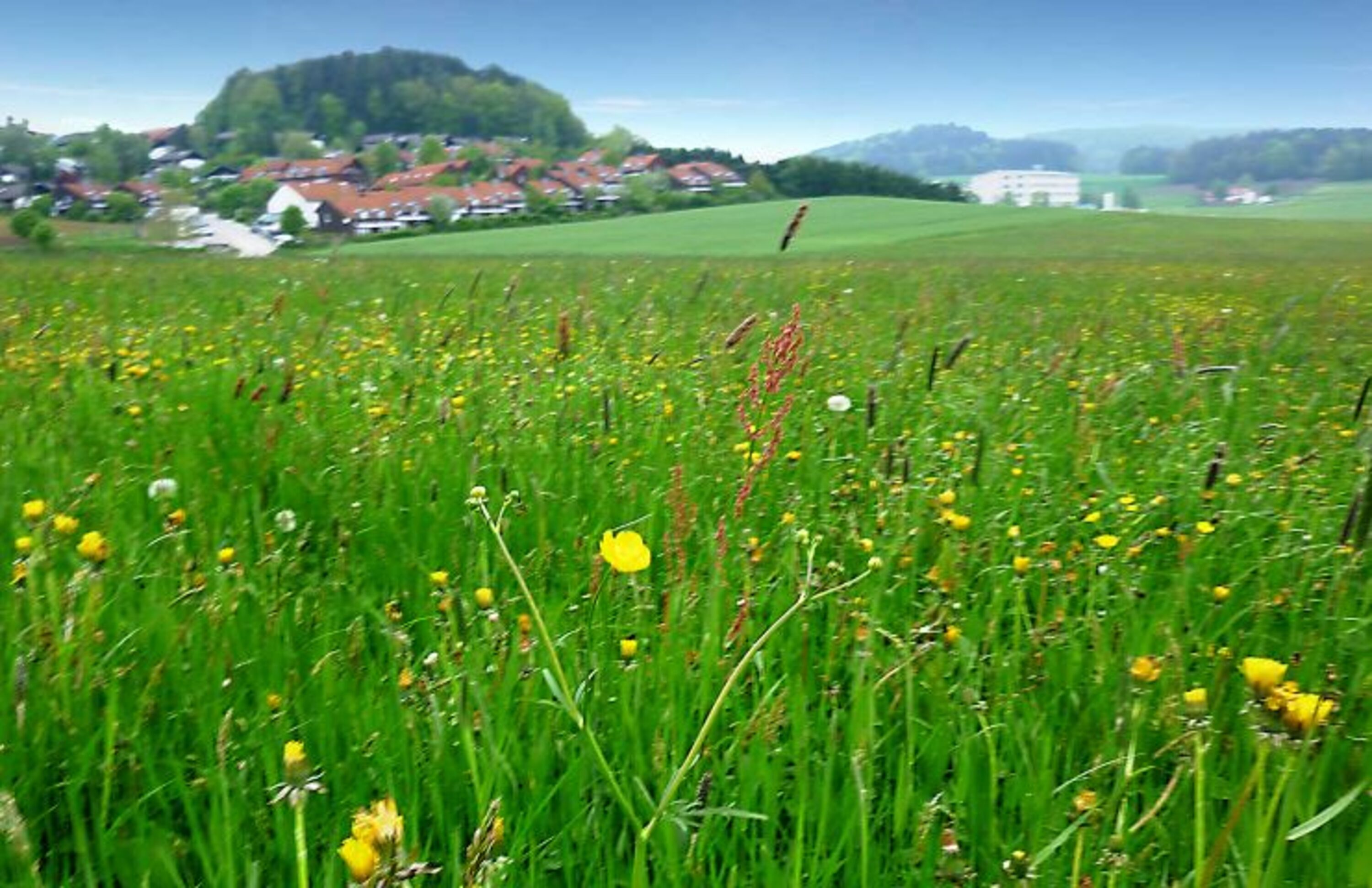 Das Umfeld