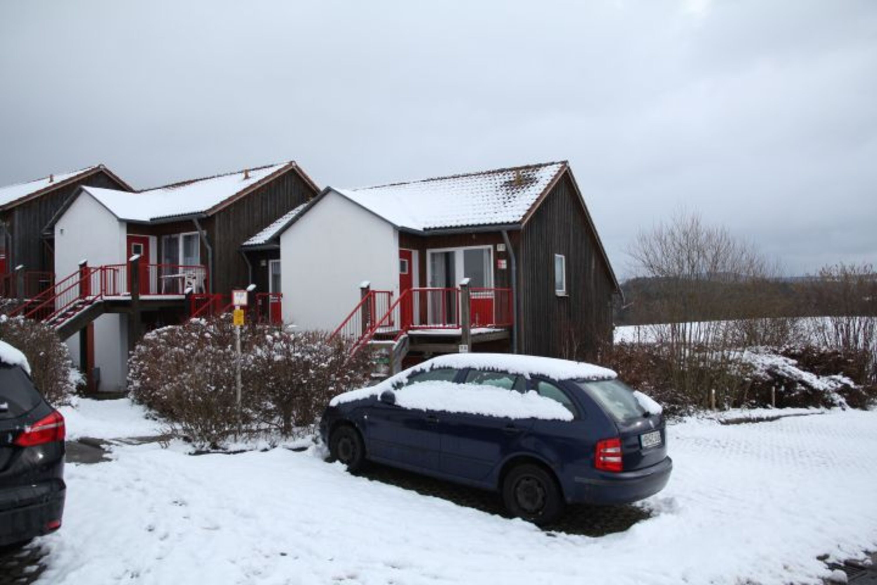 Gerda im Winter