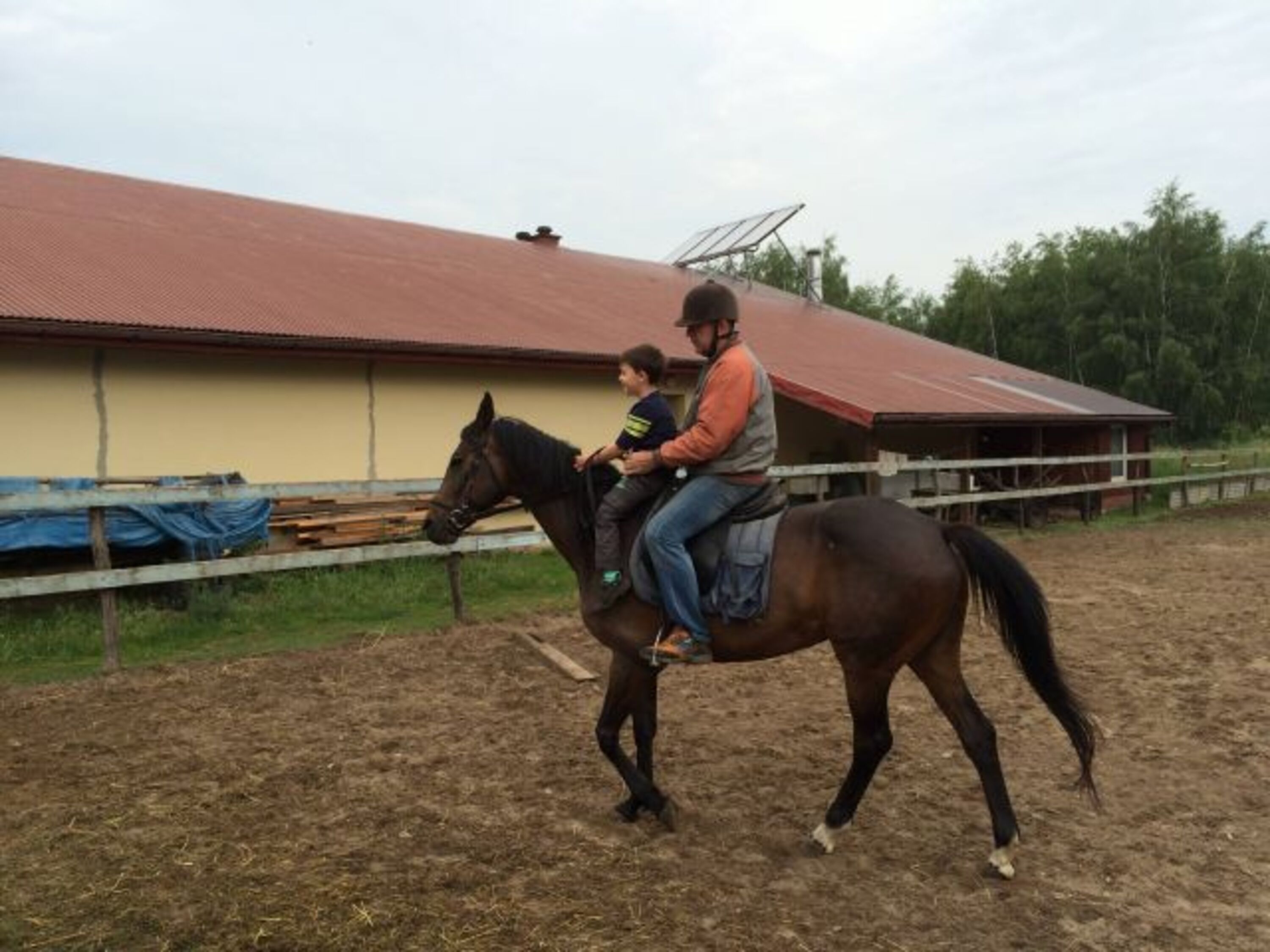Auf unserem Paddock
