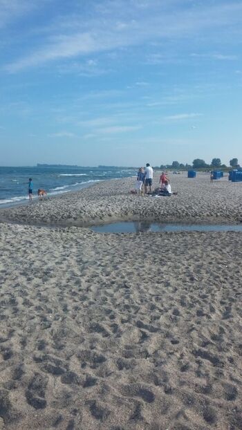 Hundestrand in Hasselberg