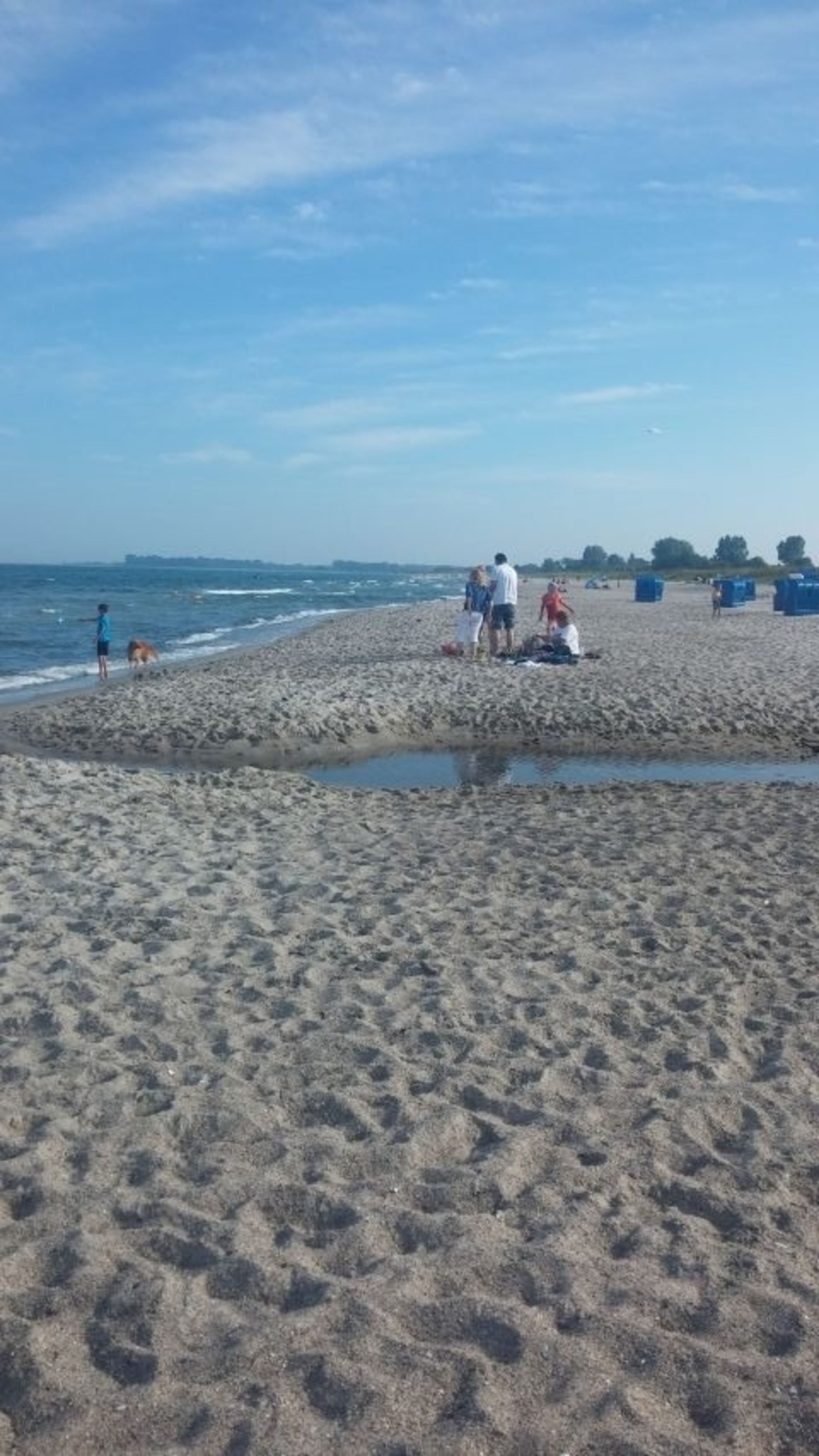 Hundestrand in Hasselberg