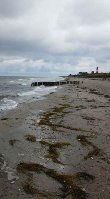 Leuchtturm Falshöft