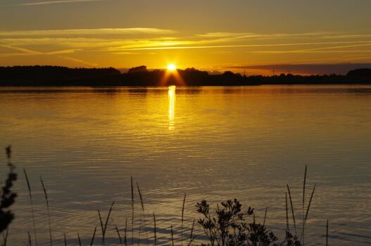Sonnenuntergang am Wormshöfter Noor