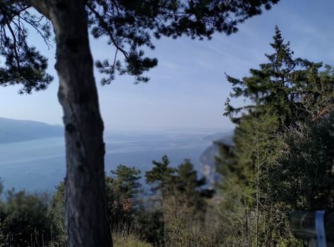 Auf einer Wanderung rund um Cima Piemp