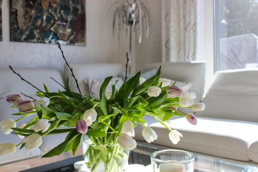 Herzlich Willkommen im Urlaub nahe Zingst