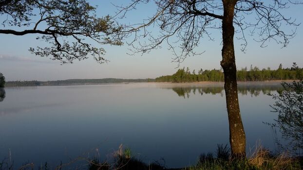 Der See Bolmen am Morgen