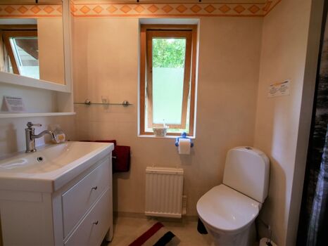 Badezimmer mit bodentiefer, großer Dusche, Waschbecken und Toilette