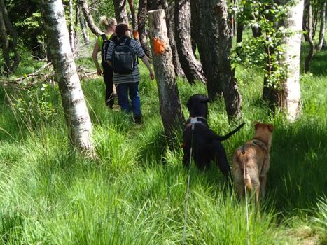 Naturwanderwege in der Umgebung