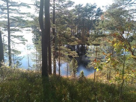 Ganz allein unterwegs - normalerweise werdet ihr auf den Spaziergängen niemanden treffen