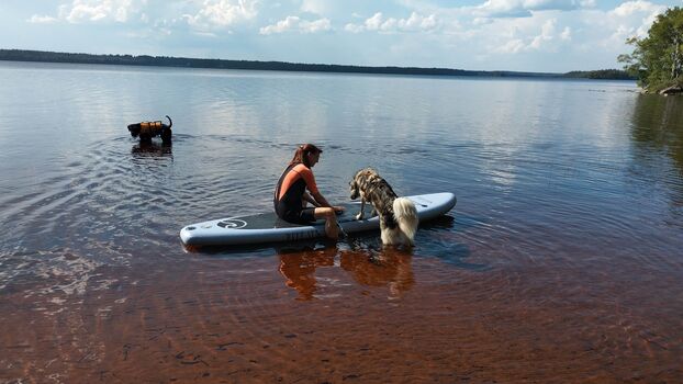 Auf dem SUP mit Hund über den einsamen See