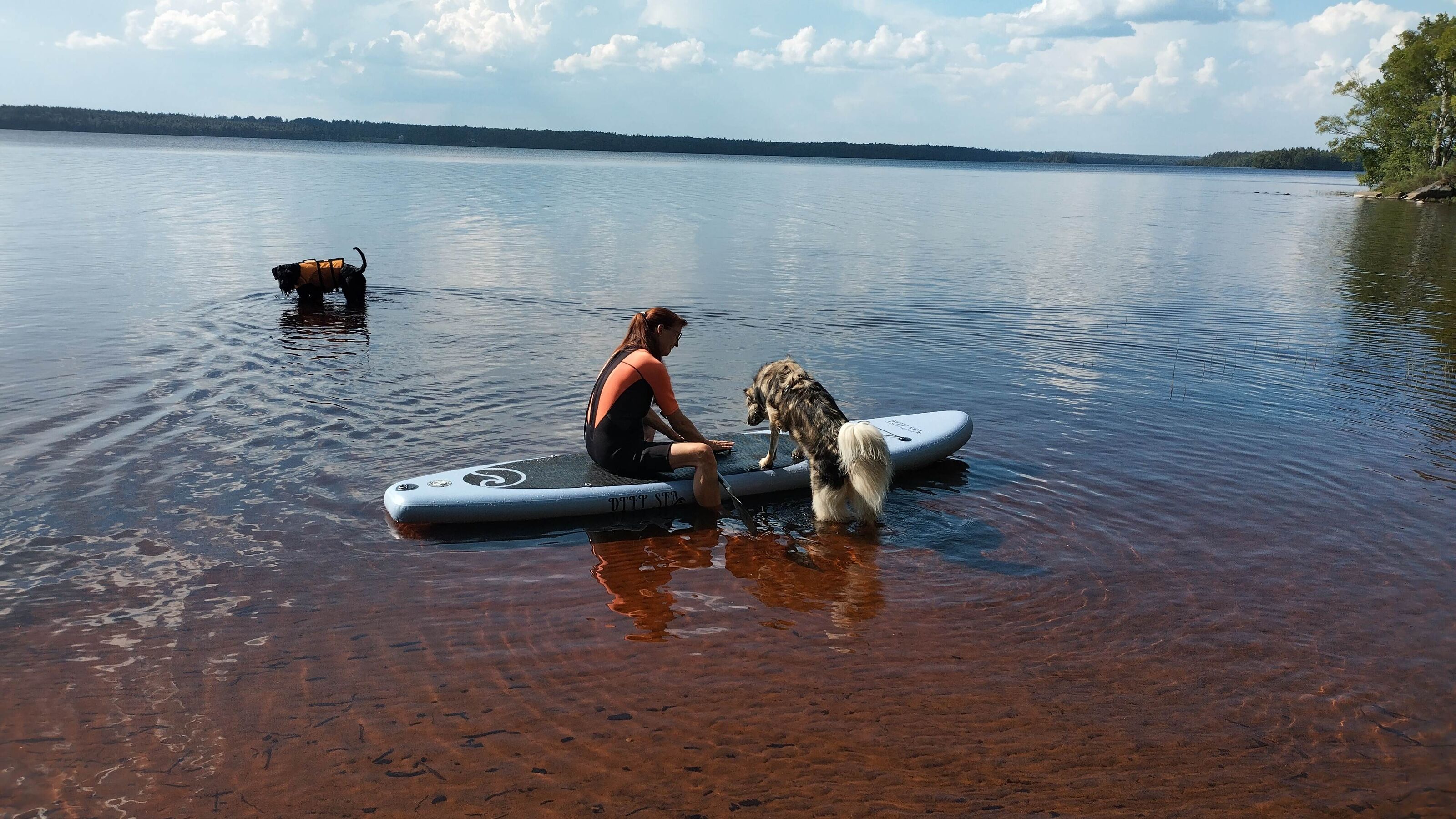 Auf dem SUP mit Hund über den einsamen See