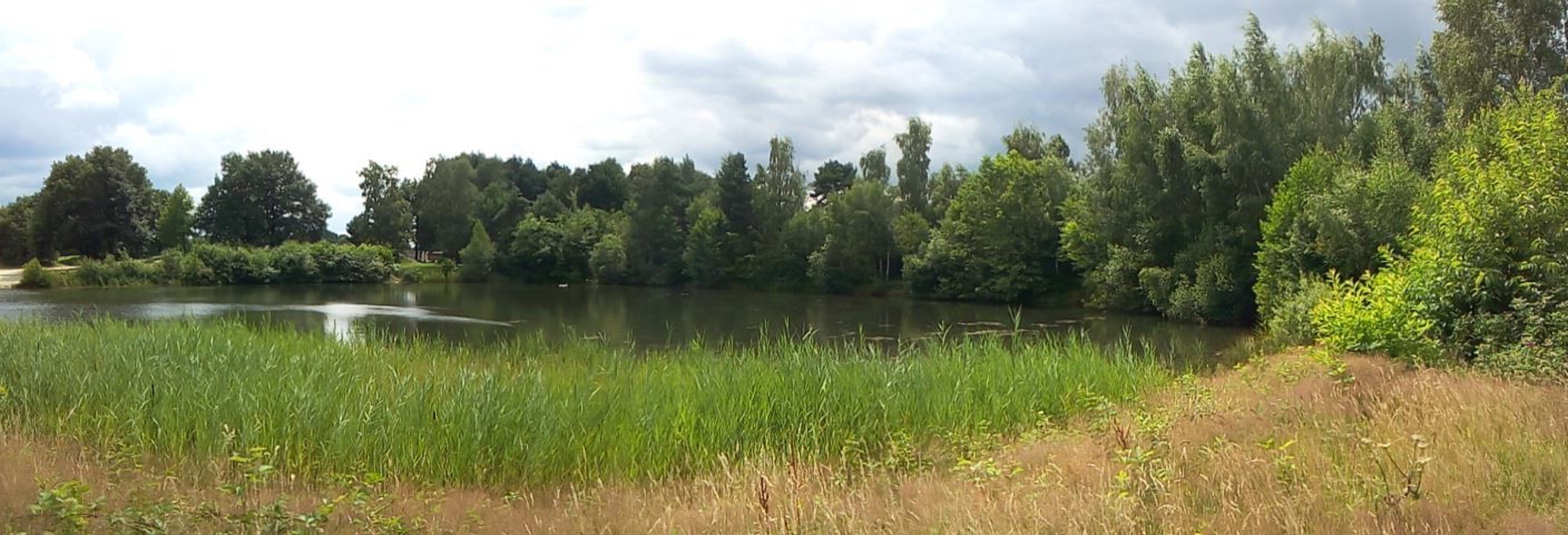 Panoramablick auf den Badesee