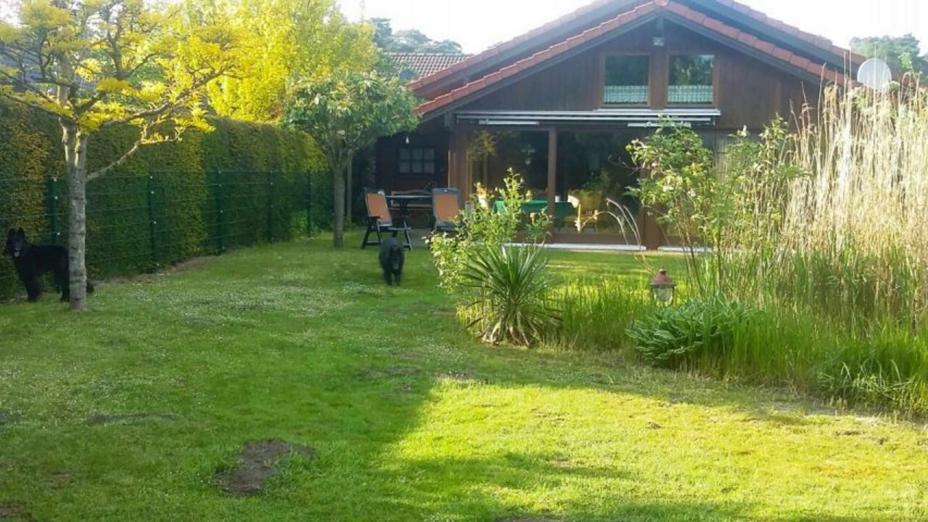 Blick in den Garten