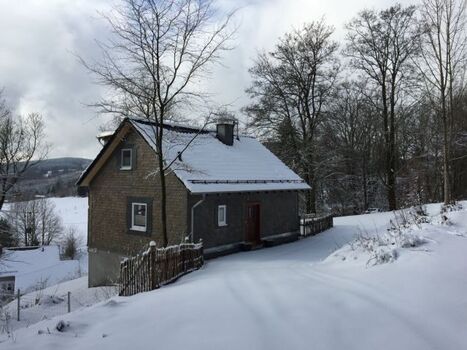 Winter an der Wildbeere 