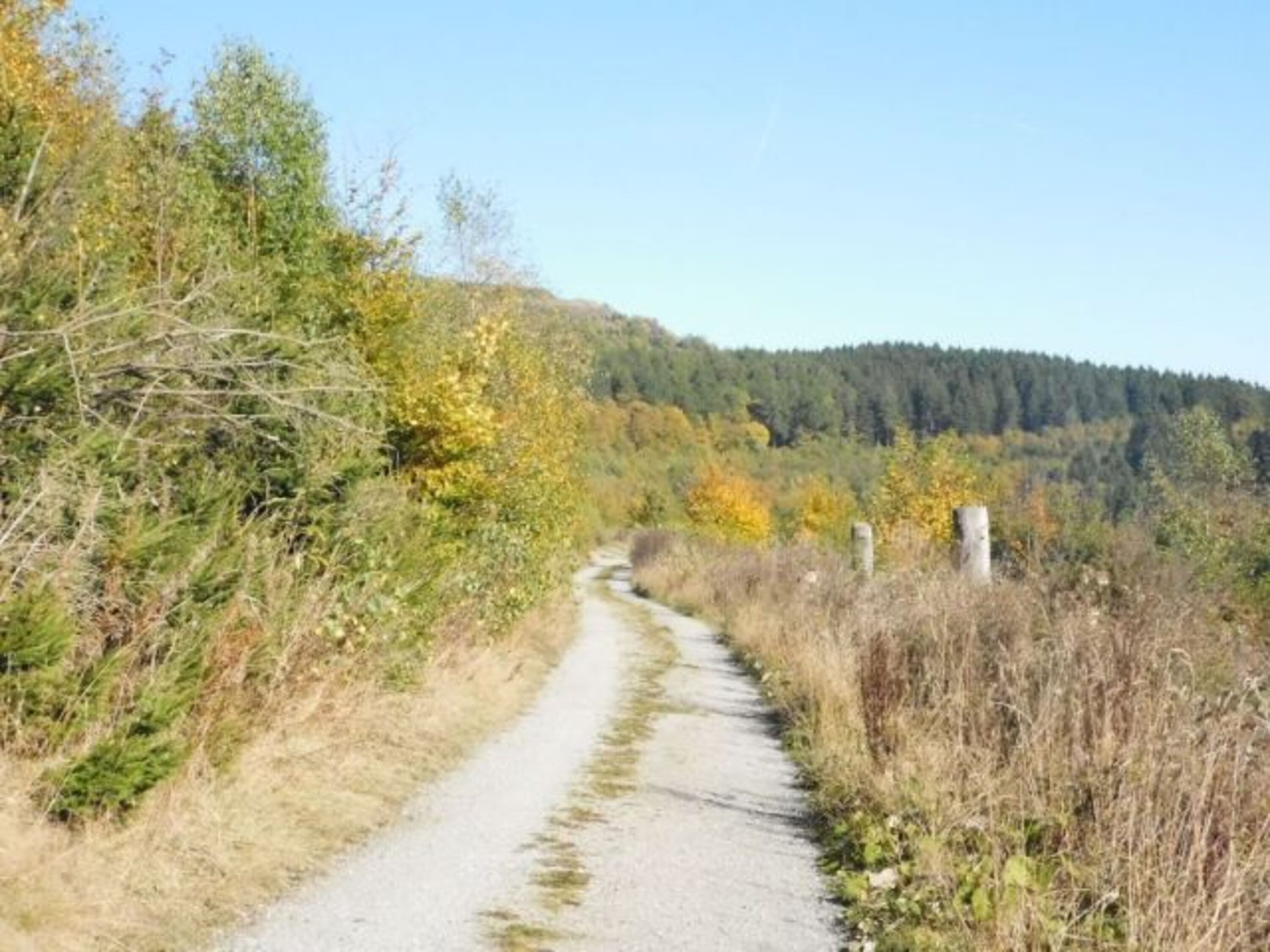 Der Waldfeenpfad