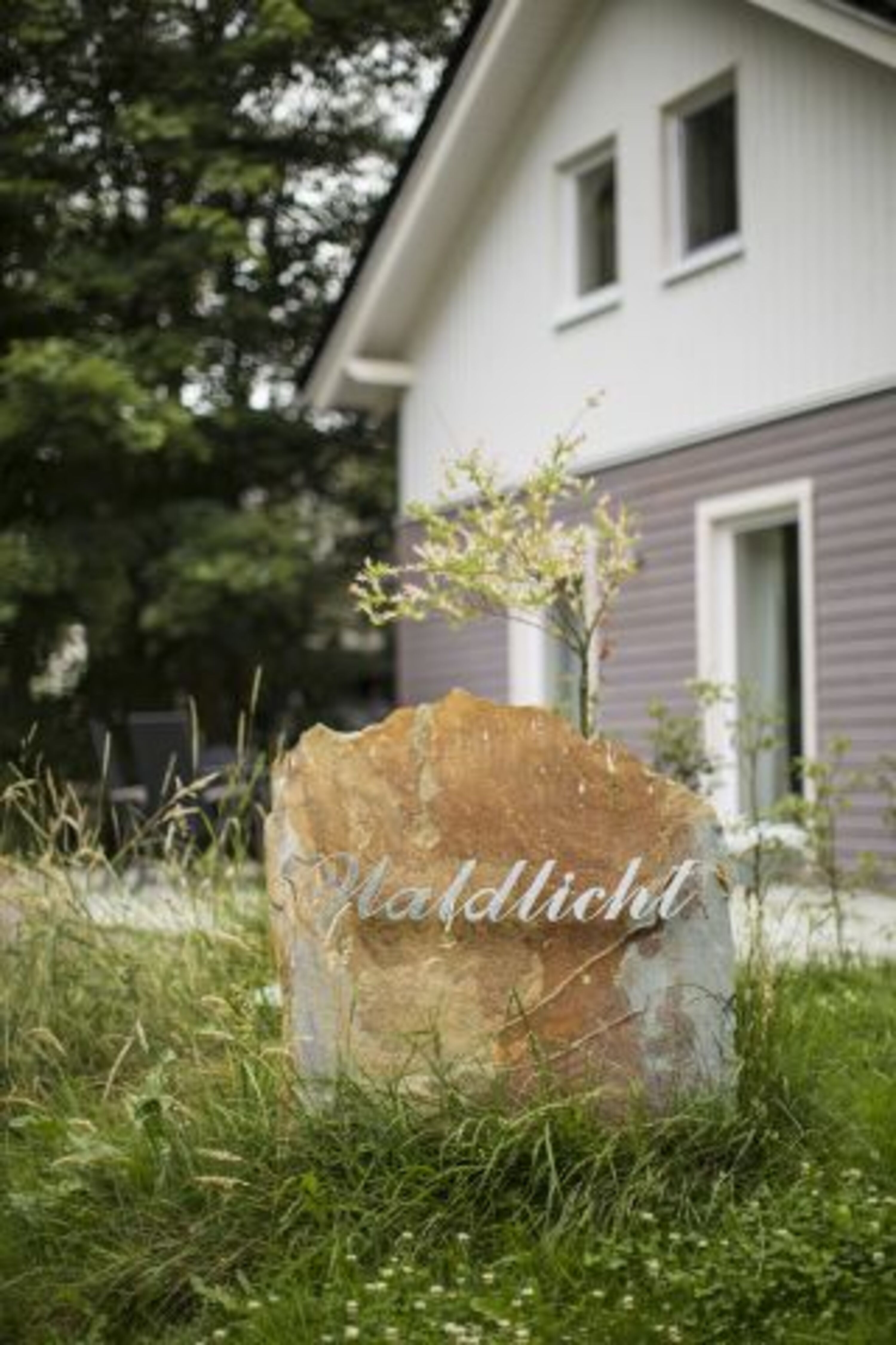 Ferienhaus Waldlicht in Brilon