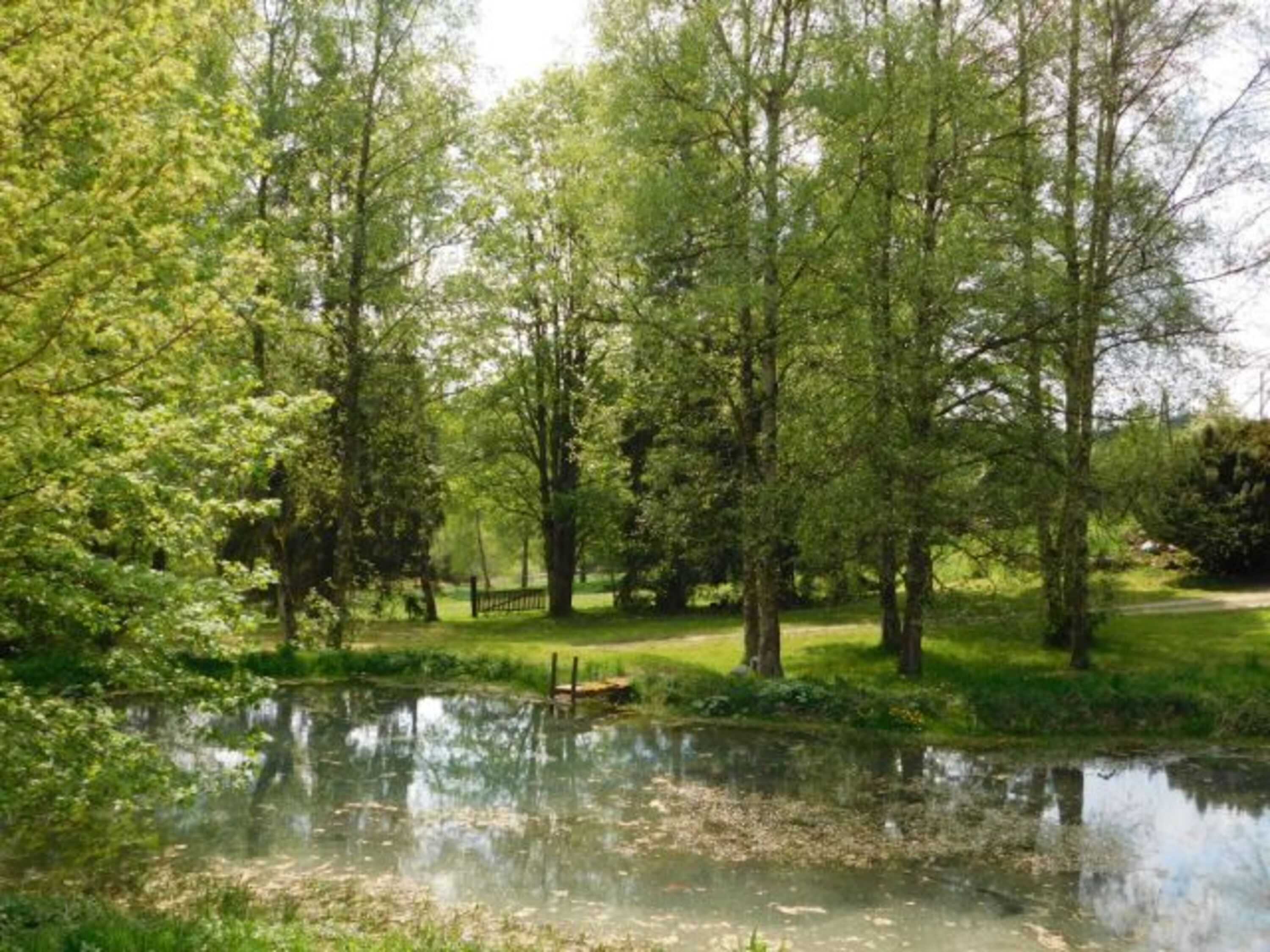 Der eigene Naturteich