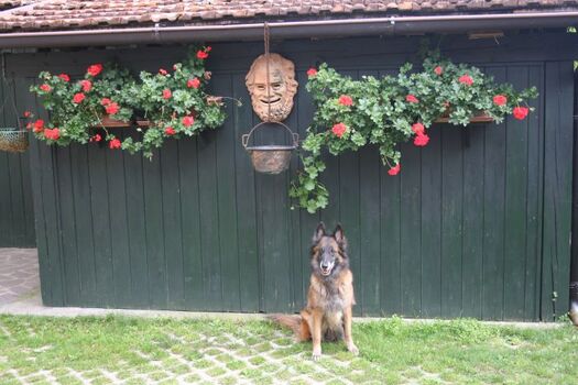 gut eingezäunter Garten 
