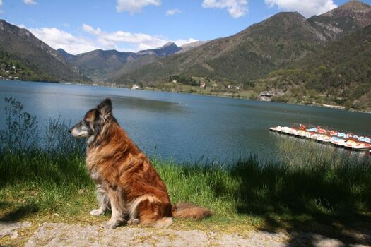 am Strand in Molina di Ledro