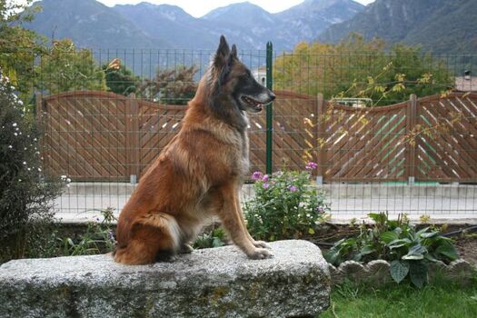 im Garten der Casa Nina