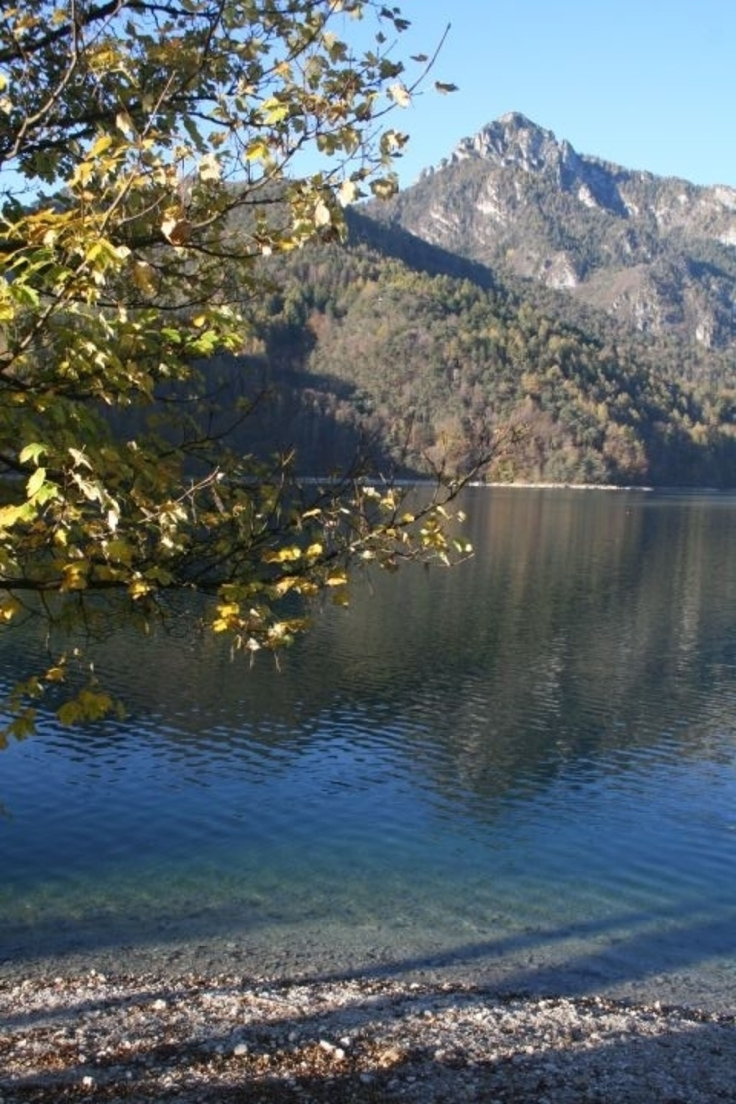 Bild 26