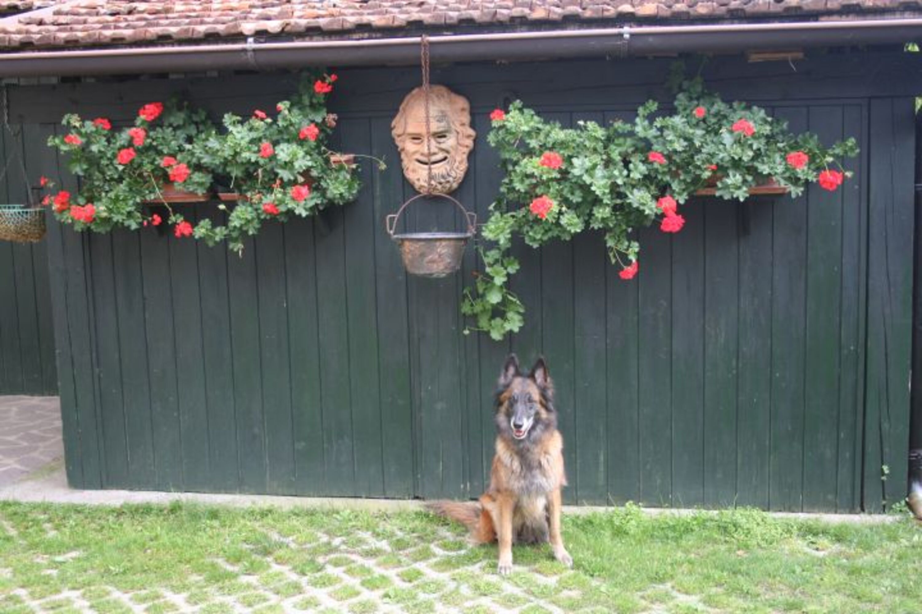 gut eingezäunter Garten 