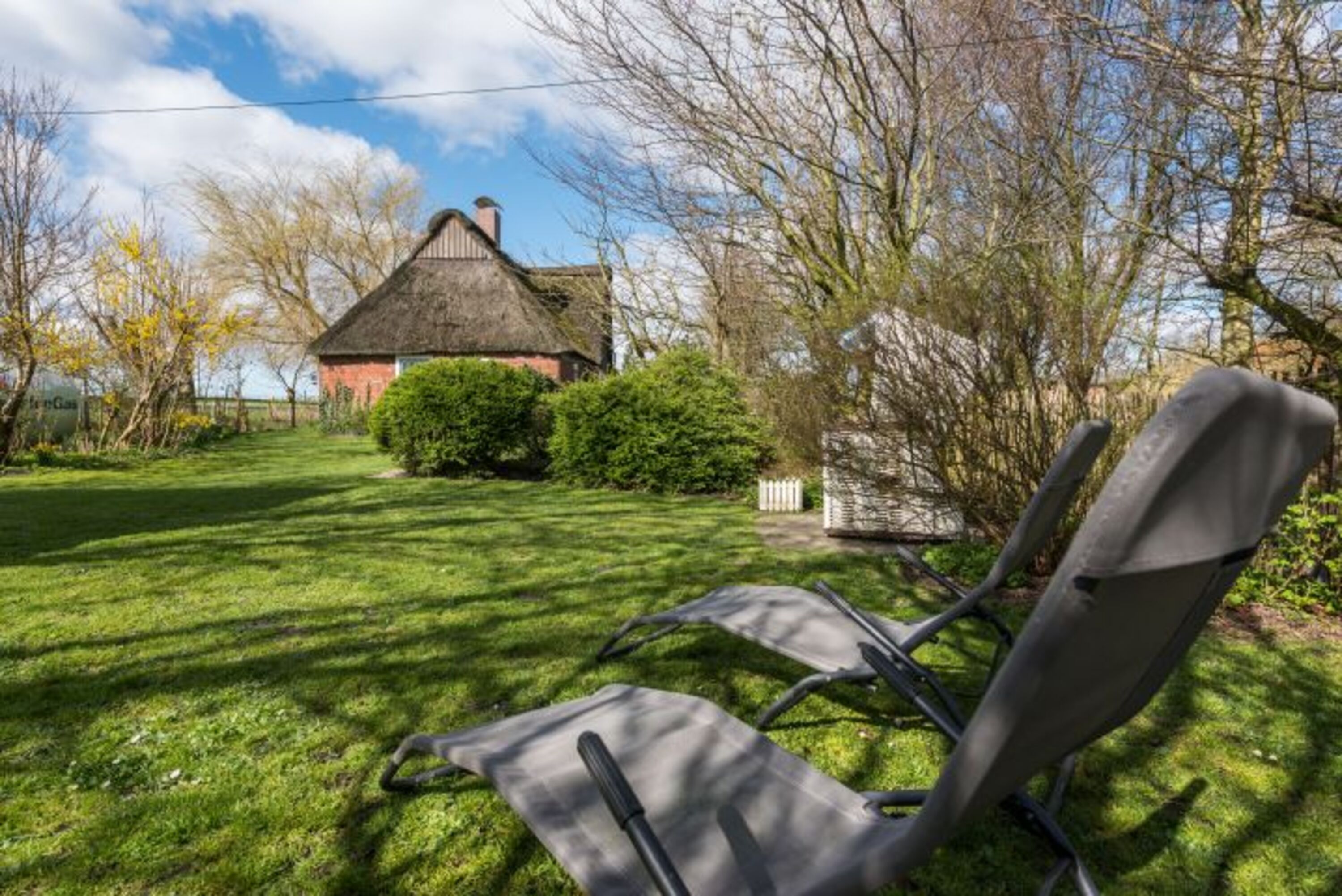 Blick in den Garten