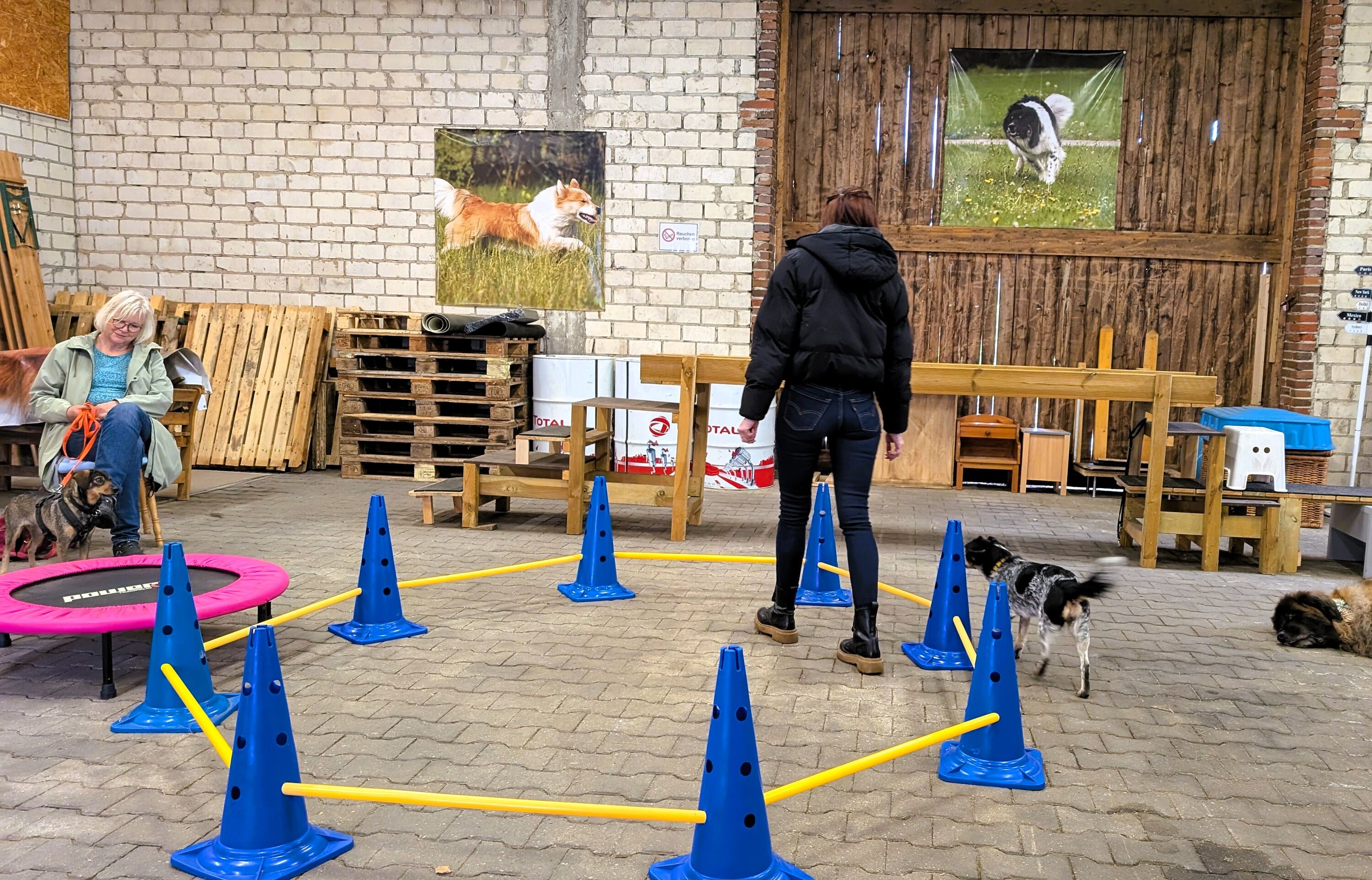 Trainingshalle mit Trainingszubehör
