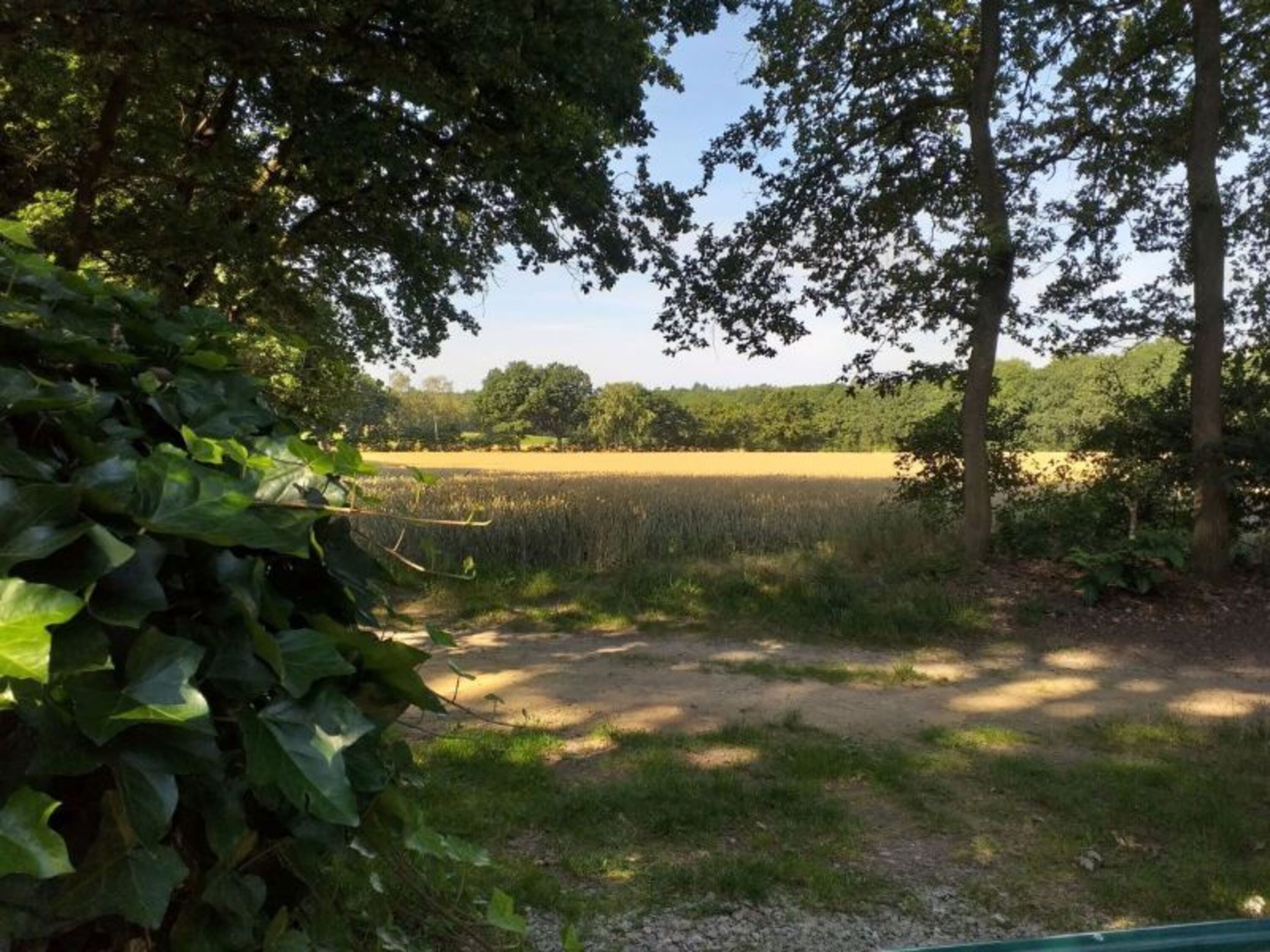 Blick über die Felder