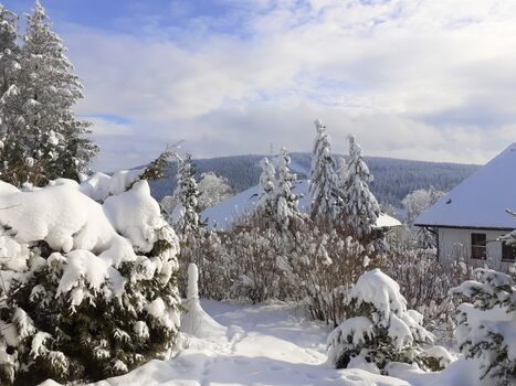 Blick auf den Bocksberg