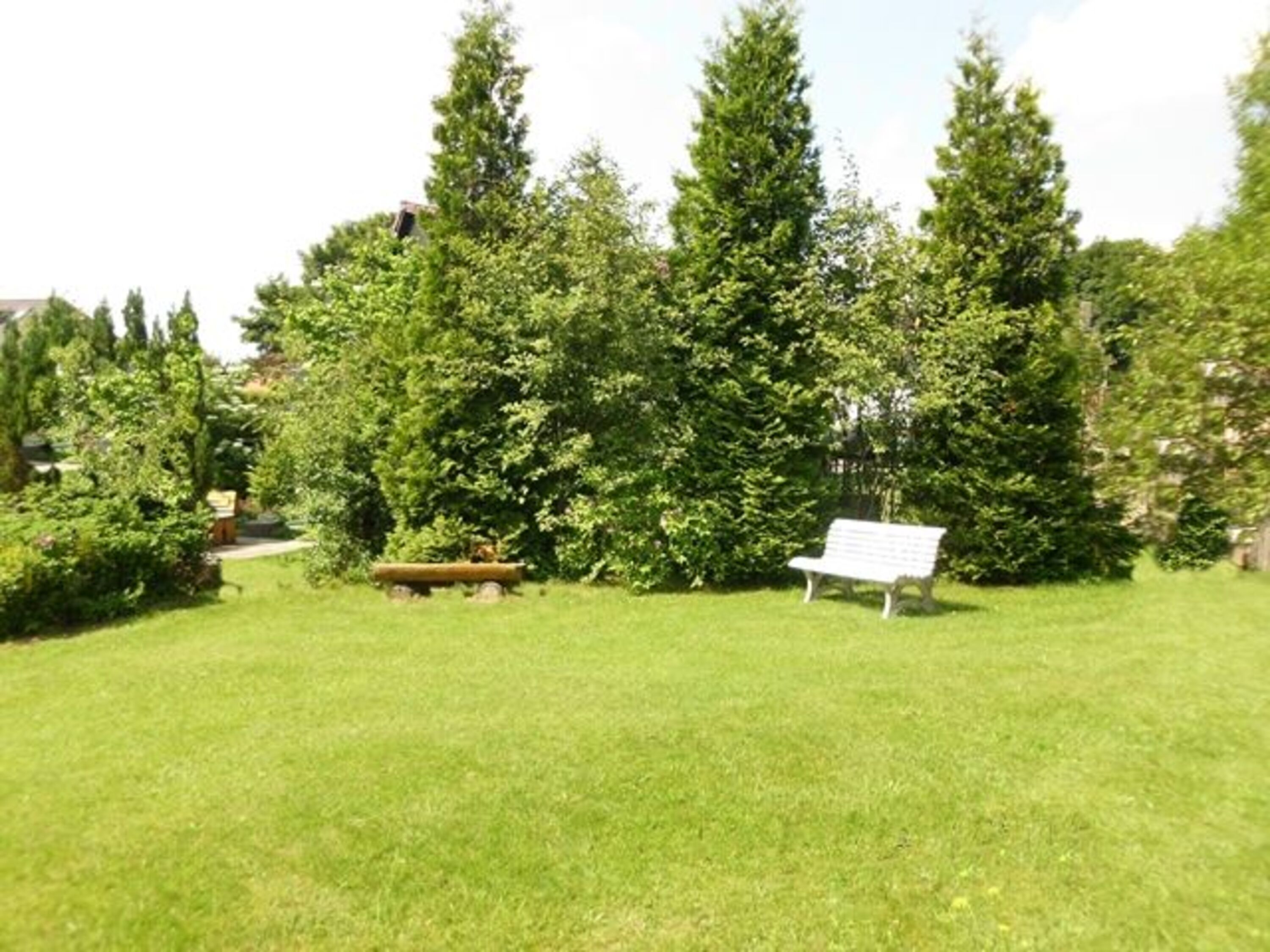 Garten und Hundeauslauf