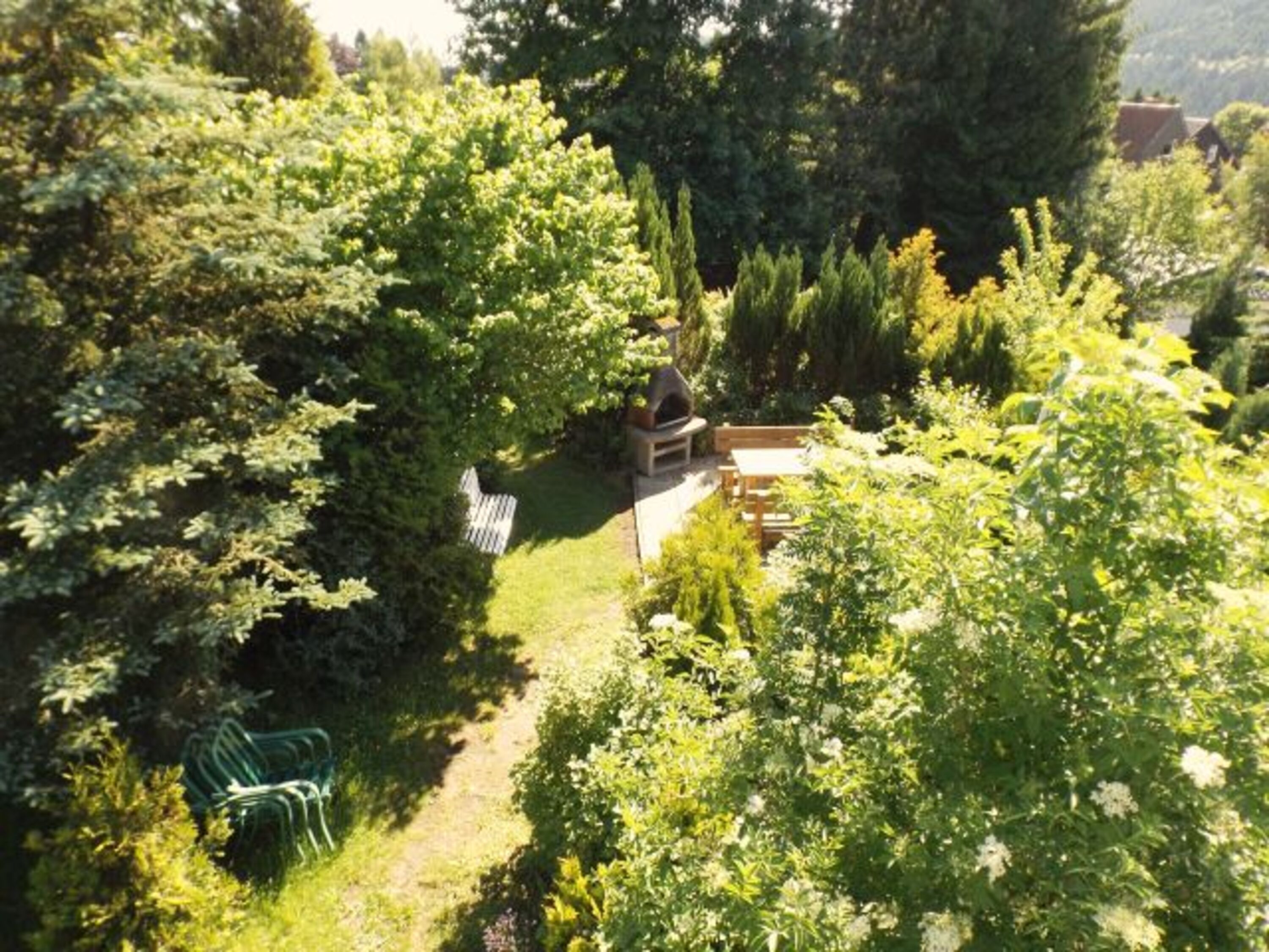 Blick in den Garten