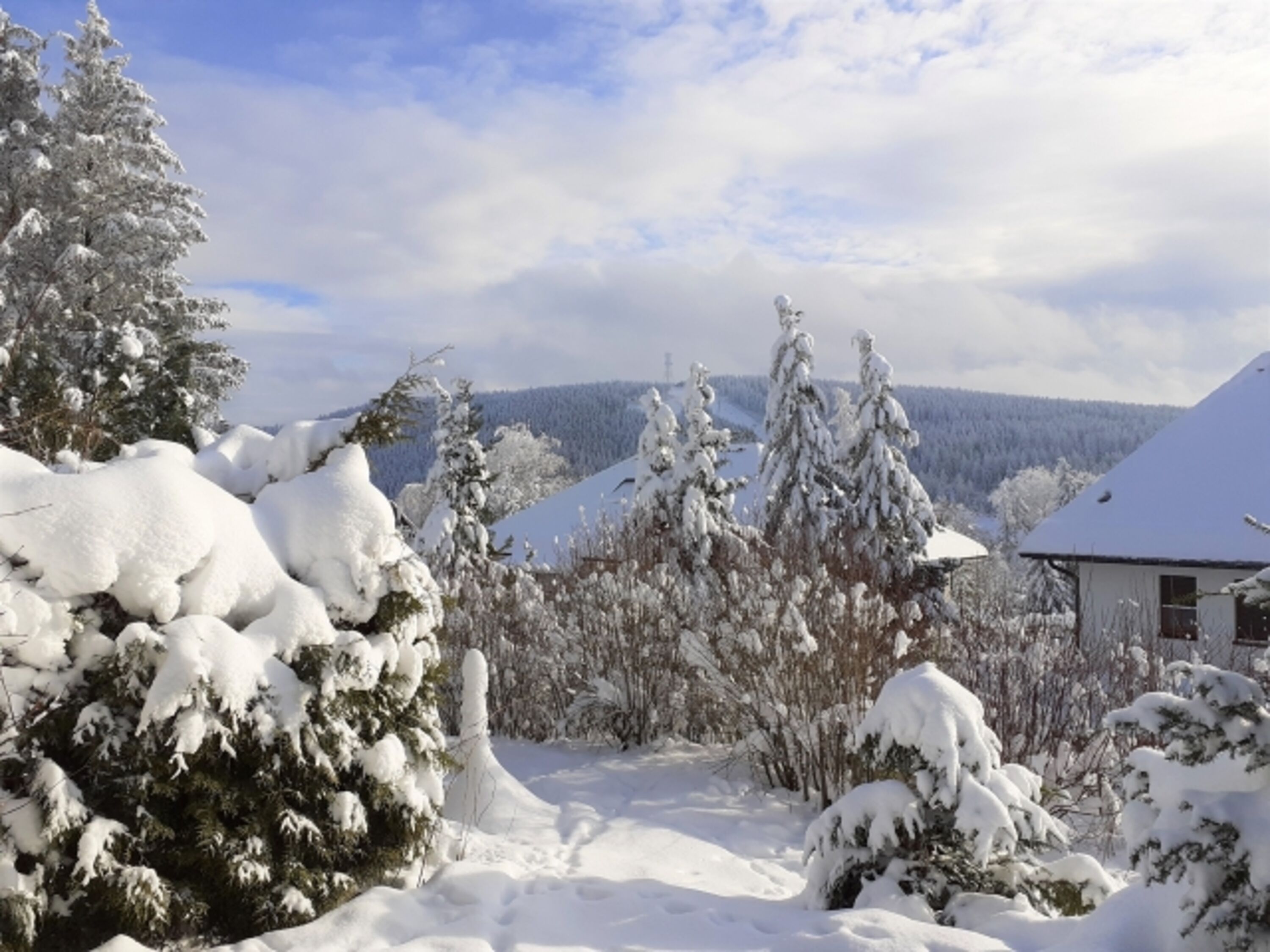 Blick auf den Bocksberg