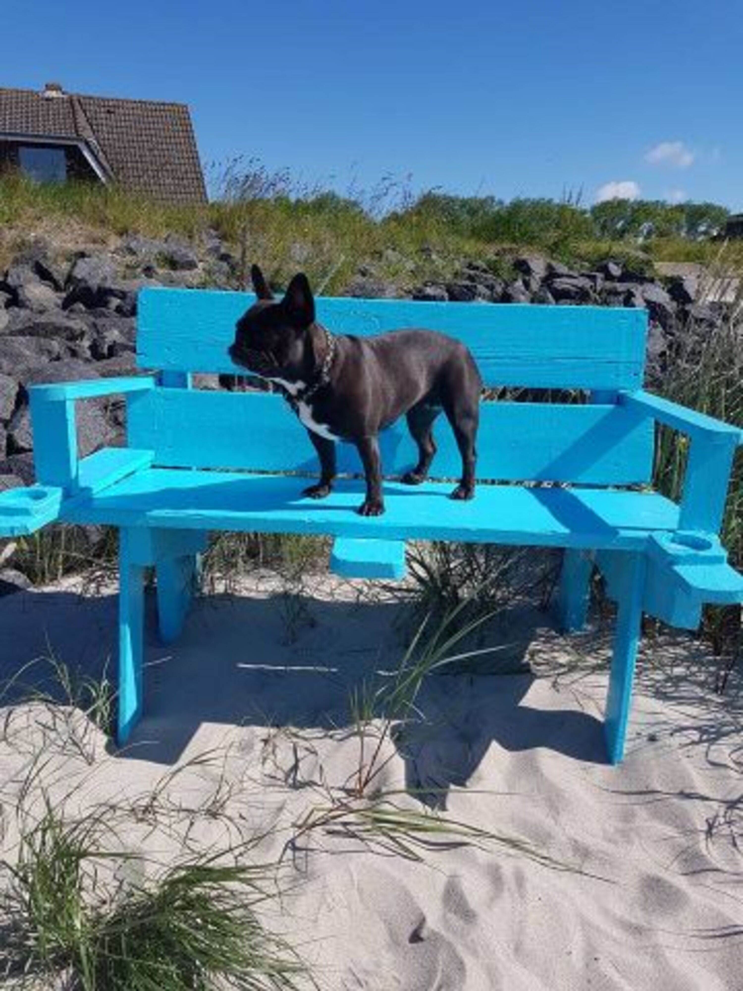 Bild 20