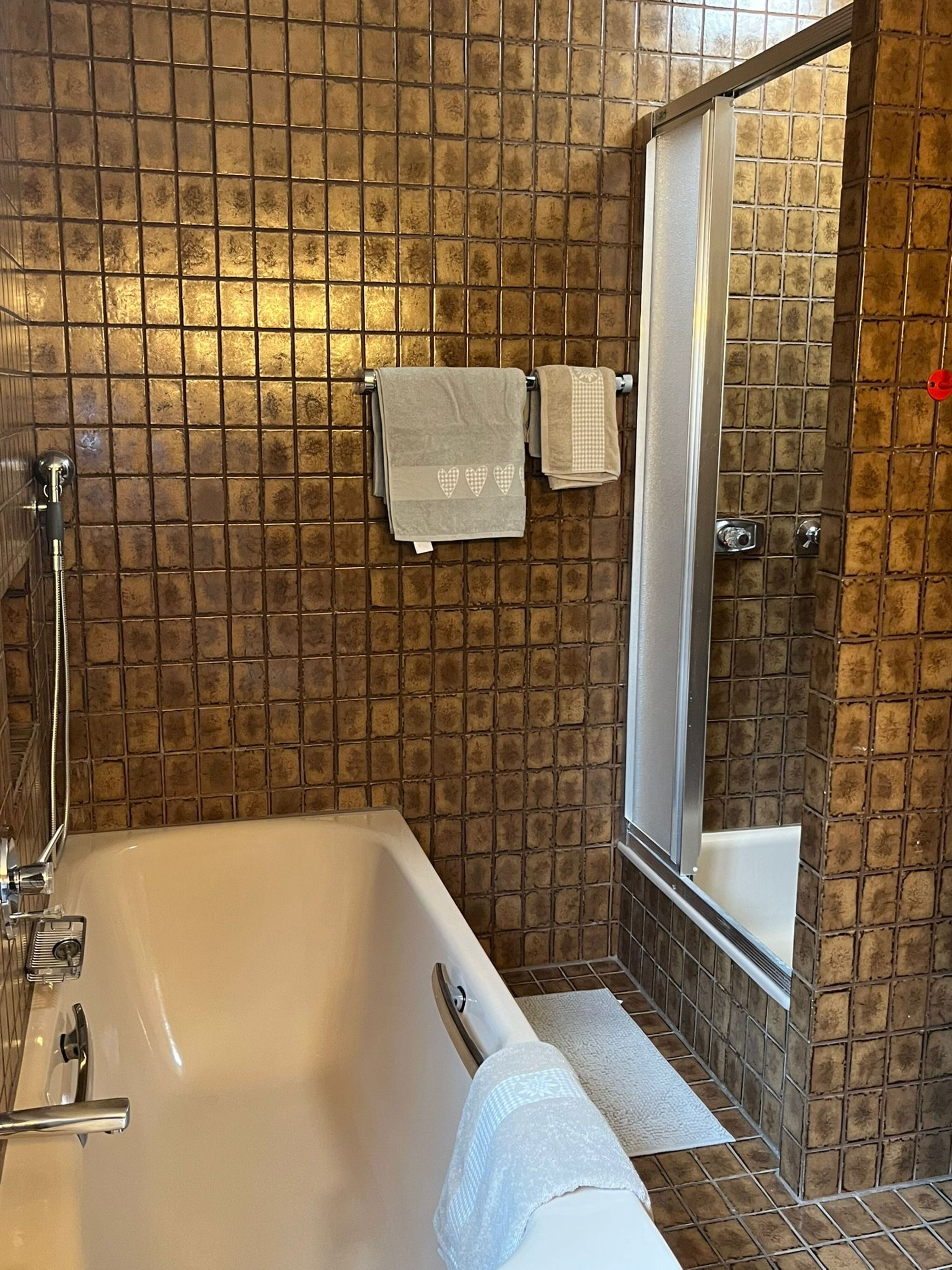 Badewanne und Dusche