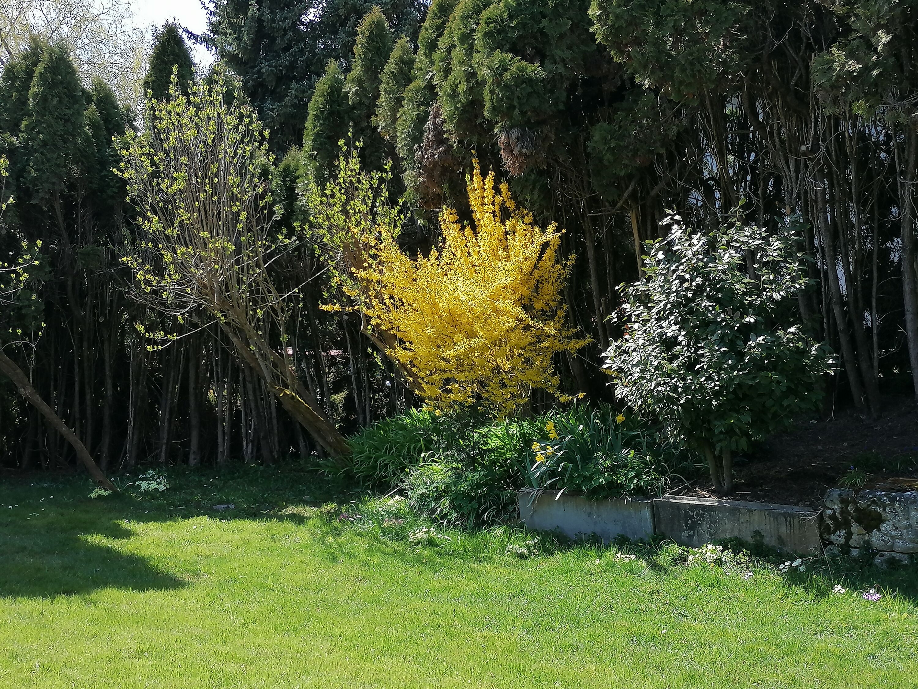 Bild 26