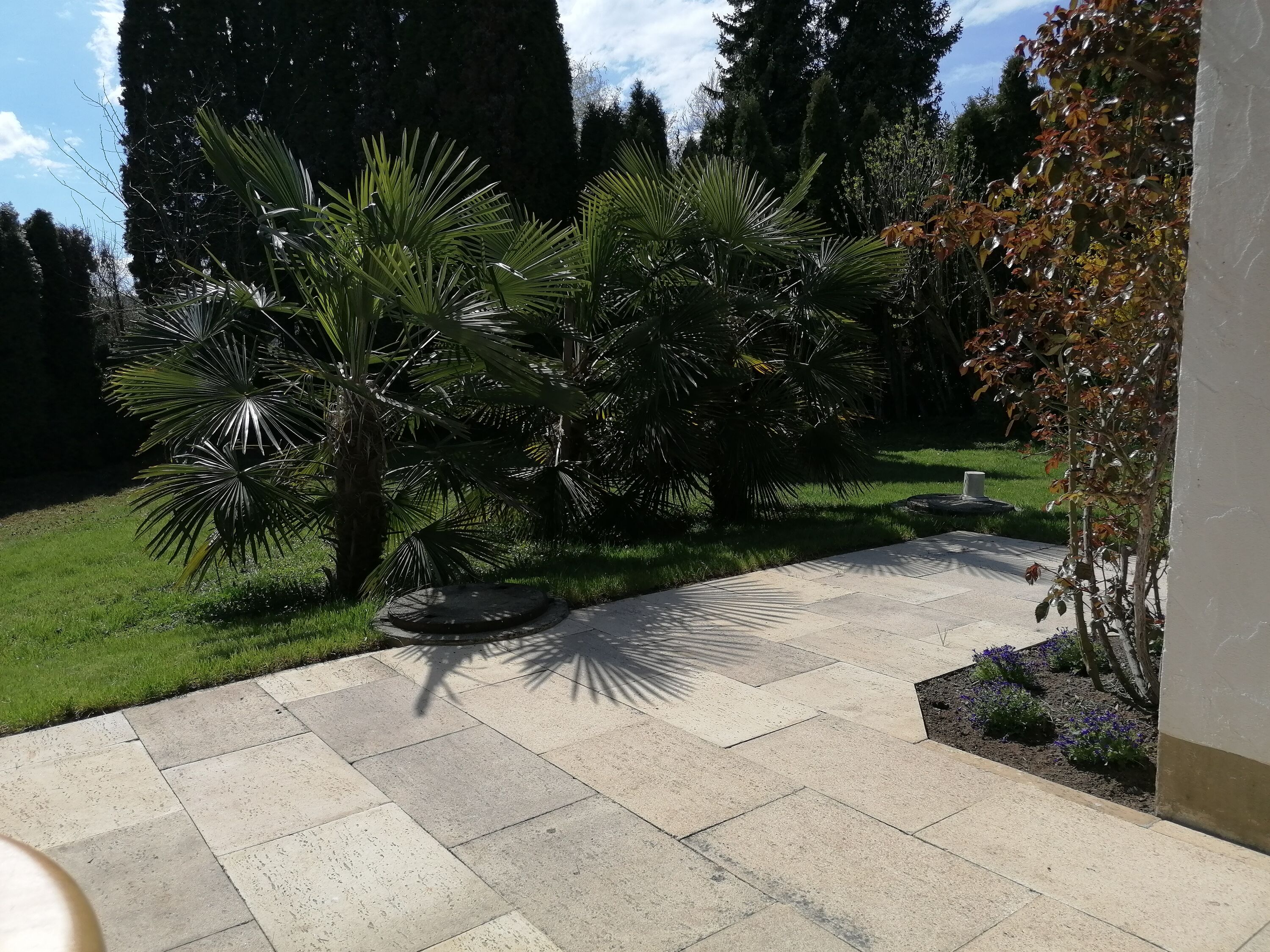 Südterrasse mit Blick auf den Garten mit Palmen