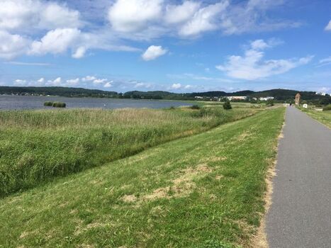 Blick auf den Selliner See und Deich- gute Gassirunde