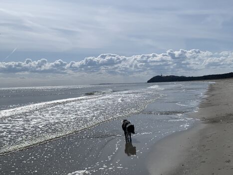 Rudi badet gerne in der Ostsee!