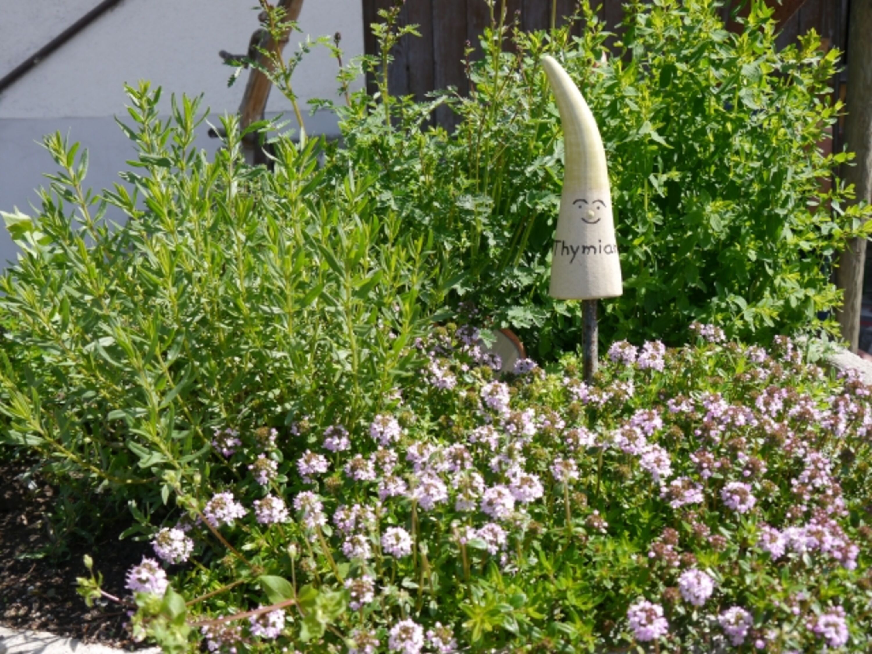 Kräuterbeet