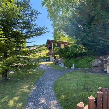 großer eingezäunter Garten