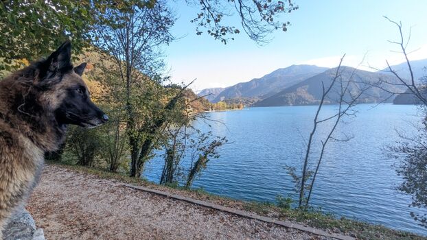Wanderweg rund um den See